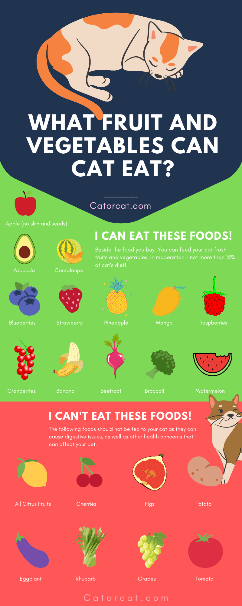 Are Fruit and Vegetables Safe for Cats 13 Safe Foods For Your Kitty